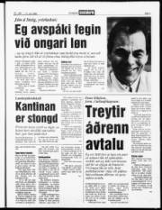 Síða 3