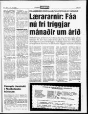 Síða 13