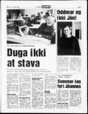 Síða 3