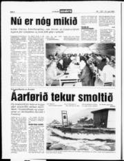 Síða 6