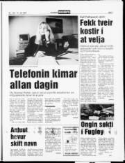 Síða 7