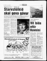 Síða 9