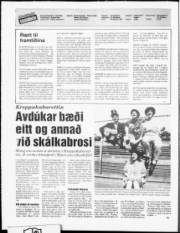 Síða 2