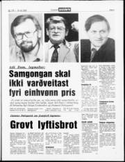 Síða 3