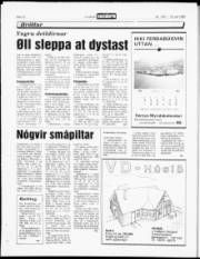 Síða 12