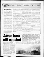 Síða 2