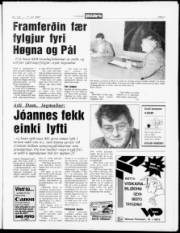 Síða 5