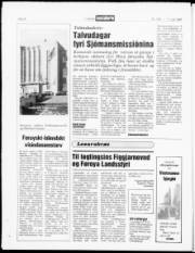 Síða 12