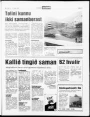 Síða 13