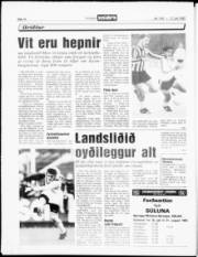 Síða 14