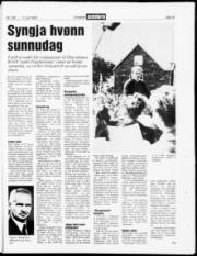 Síða 15