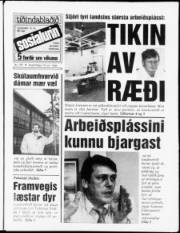 Síða 1