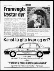 Síða 3