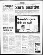 Síða 4