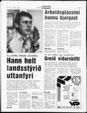 Síða 5