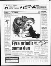 Síða 16