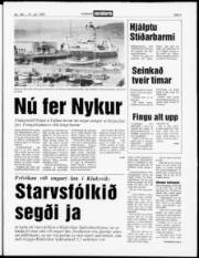 Síða 3