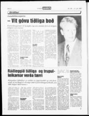 Síða 12
