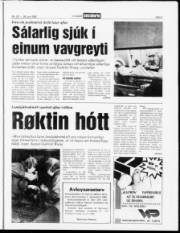 Síða 5