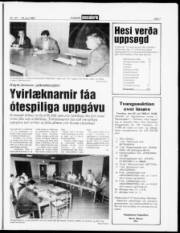 Síða 7