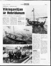 Síða 11