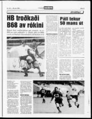 Síða 13