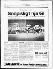 Síða 14
