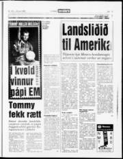 Síða 15