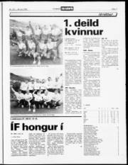 Síða 17