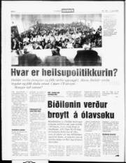 Síða 6