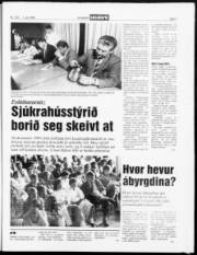 Síða 7