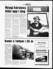 Síða 11