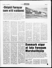 Síða 13