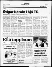 Síða 17