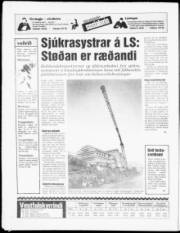 Síða 20