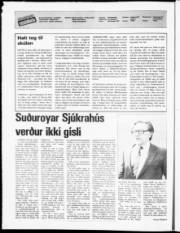 Síða 2