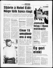 Síða 3