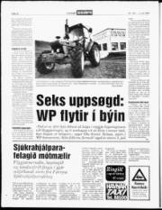 Síða 12