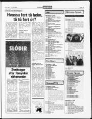 Síða 15