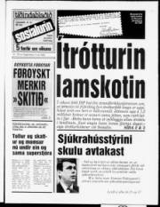 Síða 1