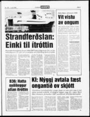 Síða 3