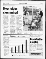 Síða 17