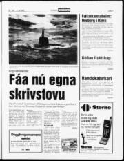 Síða 3