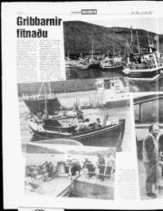 Síða 12