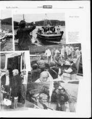 Síða 13