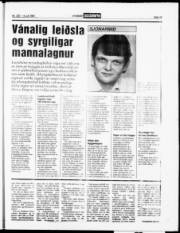 Síða 19