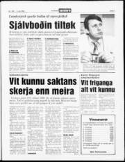 Síða 3