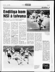 Síða 13