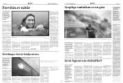 Síða 4