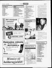 Síða 19